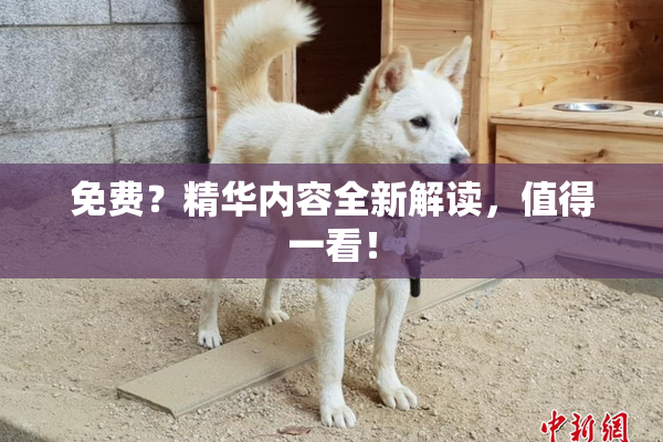 免费？精华内容全新解读，值得一看！