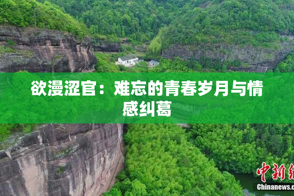 欲漫涩官：难忘的青春岁月与情感纠葛