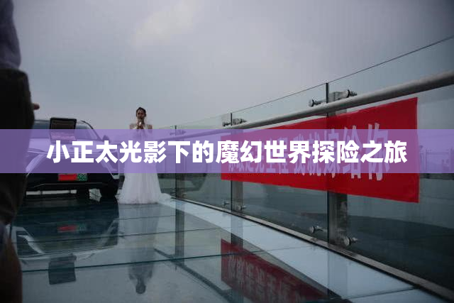 小正太光影下的魔幻世界探险之旅