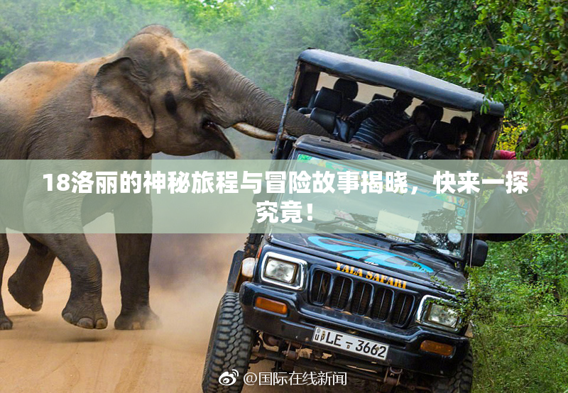 18洛丽的神秘旅程与冒险故事揭晓，快来一探究竟！