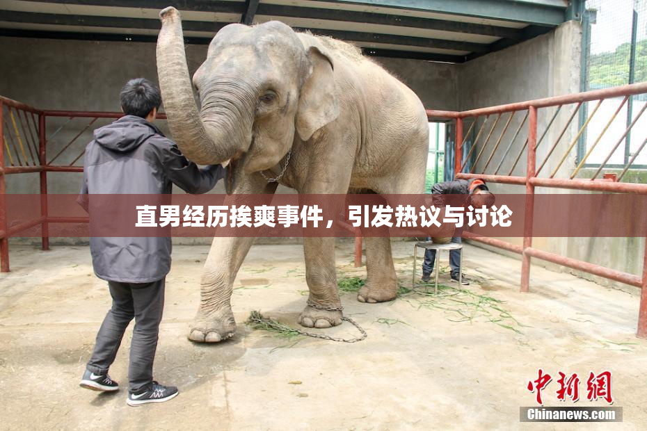 直男经历挨爽事件，引发热议与讨论