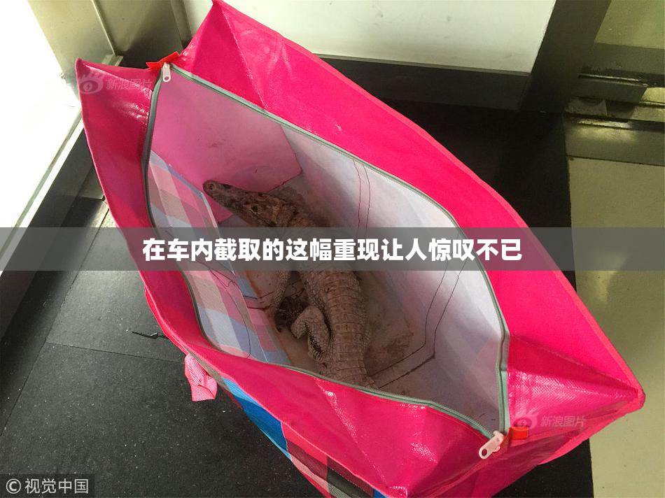 在车内截取的这幅重现让人惊叹不已
