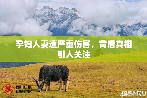 孕妇人妻遭严重伤害，背后真相引人关注