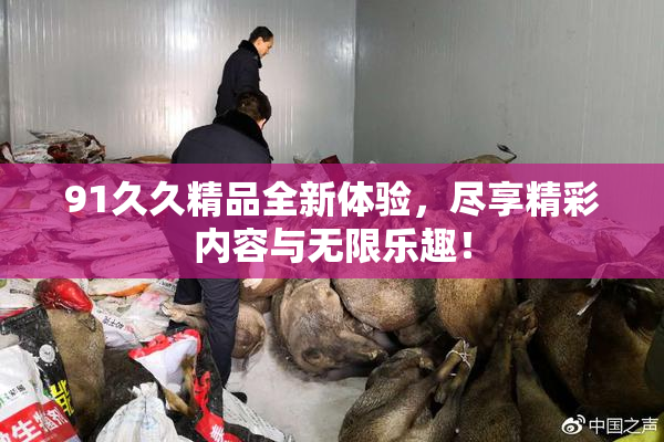 91久久精品全新体验，尽享精彩内容与无限乐趣！