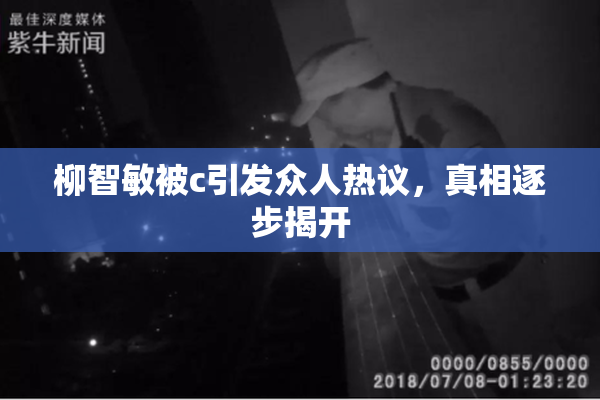 柳智敏被c引发众人热议，真相逐步揭开