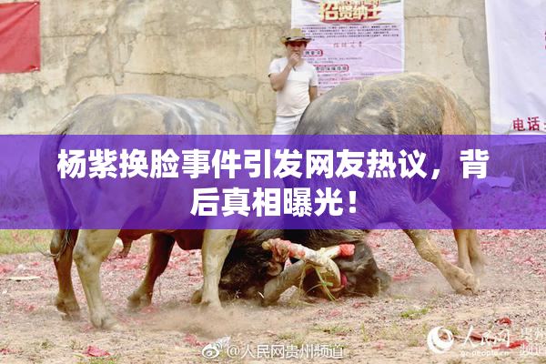 杨紫换脸事件引发网友热议，背后真相曝光！