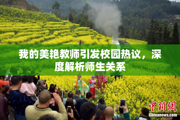我的美艳教师引发校园热议，深度解析师生关系