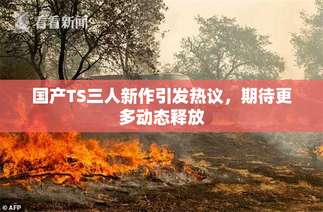 国产TS三人新作引发热议，期待更多动态释放