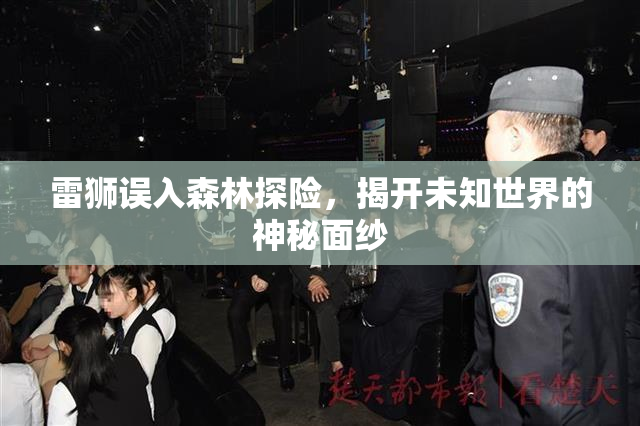 雷狮误入森林探险，揭开未知世界的神秘面纱