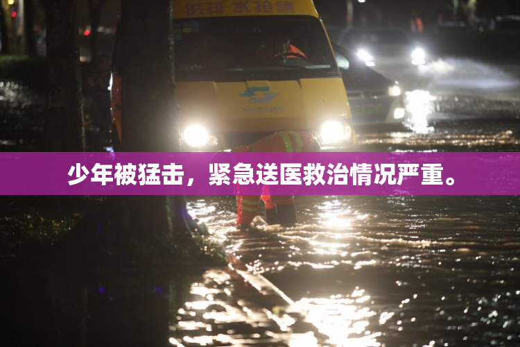 少年被猛击，紧急送医救治情况严重。
