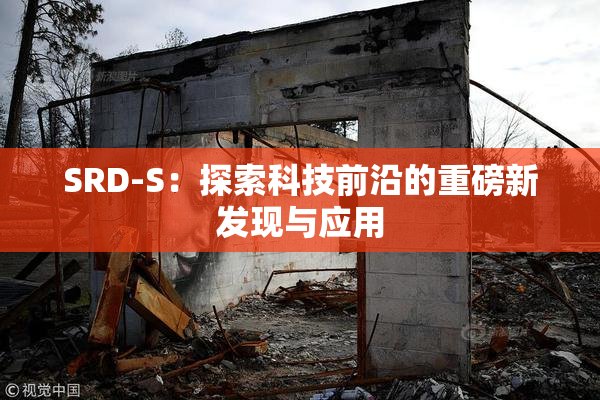 SRD-S：探索科技前沿的重磅新发现与应用
