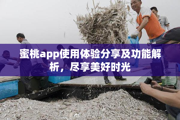 蜜桃app使用体验分享及功能解析，尽享美好时光