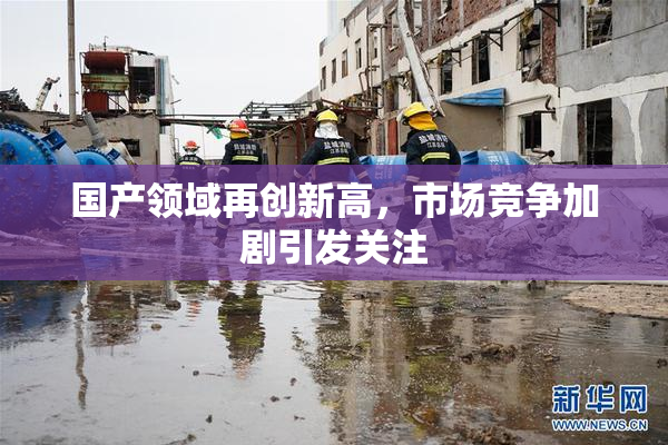 国产领域再创新高，市场竞争加剧引发关注