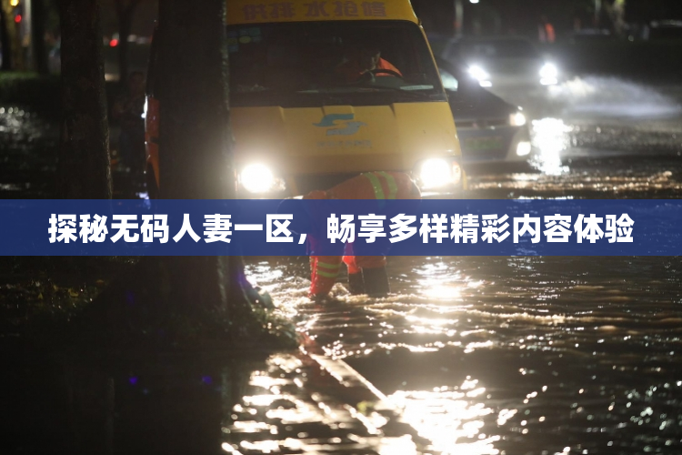 探秘无码人妻一区，畅享多样精彩内容体验