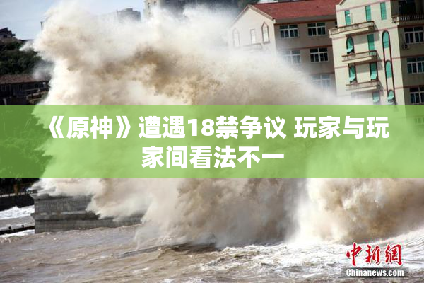 《原神》遭遇18禁争议 玩家与玩家间看法不一