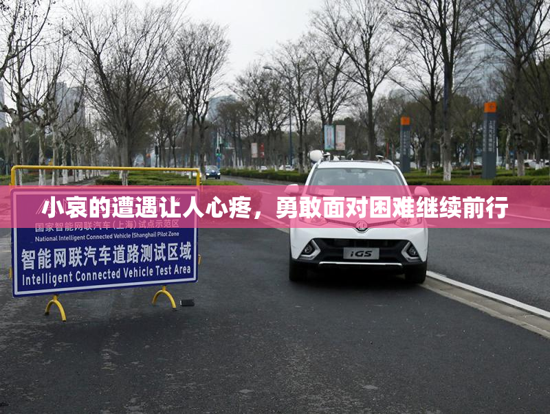小哀的遭遇让人心疼，勇敢面对困难继续前行