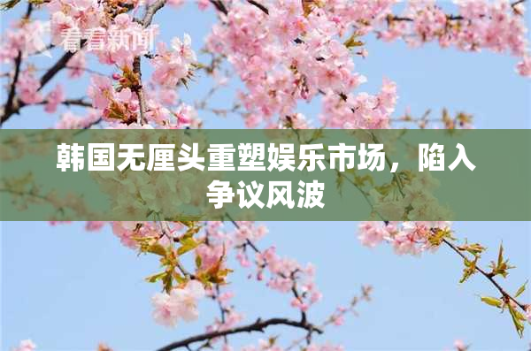 韩国无厘头重塑娱乐市场，陷入争议风波
