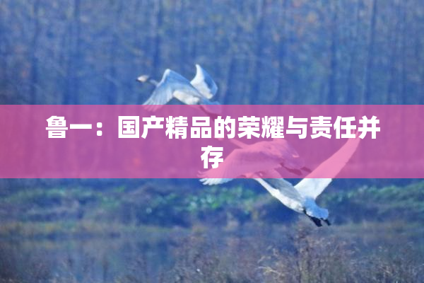 鲁一：国产精品的荣耀与责任并存