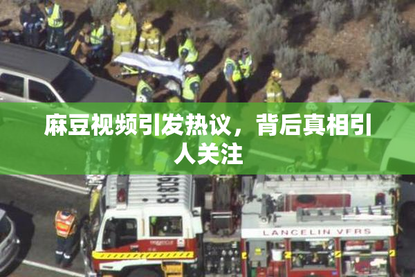 麻豆视频引发热议，背后真相引人关注