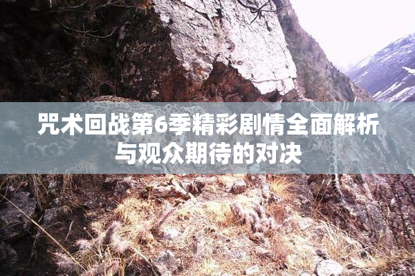 咒术回战第6季精彩剧情全面解析与观众期待的对决