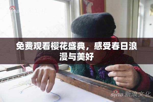 免费观看樱花盛典，感受春日浪漫与美好