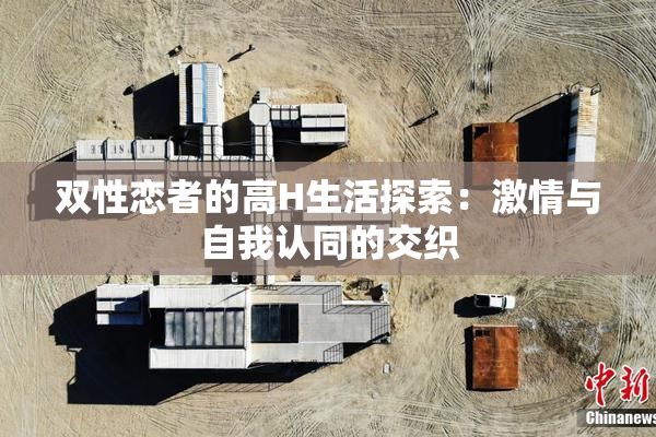 双性恋者的高H生活探索：激情与自我认同的交织