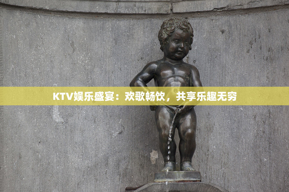 KTV娱乐盛宴：欢歌畅饮，共享乐趣无穷