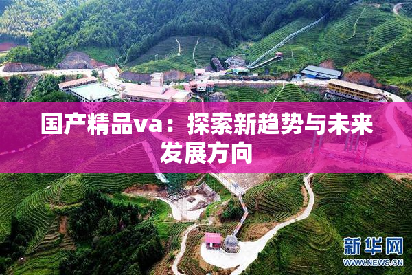 国产精品va：探索新趋势与未来发展方向