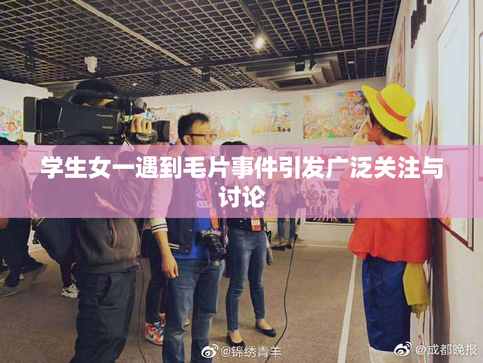 学生女一遇到毛片事件引发广泛关注与讨论