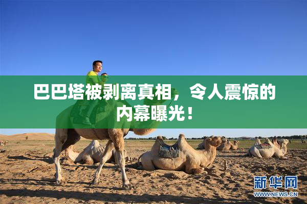 巴巴塔被剥离真相，令人震惊的内幕曝光！
