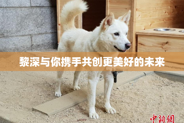 黎深与你携手共创更美好的未来