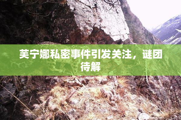 芙宁娜私密事件引发关注，谜团待解