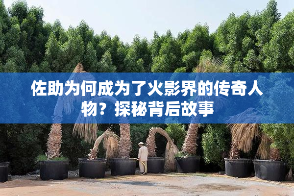佐助为何成为了火影界的传奇人物？探秘背后故事