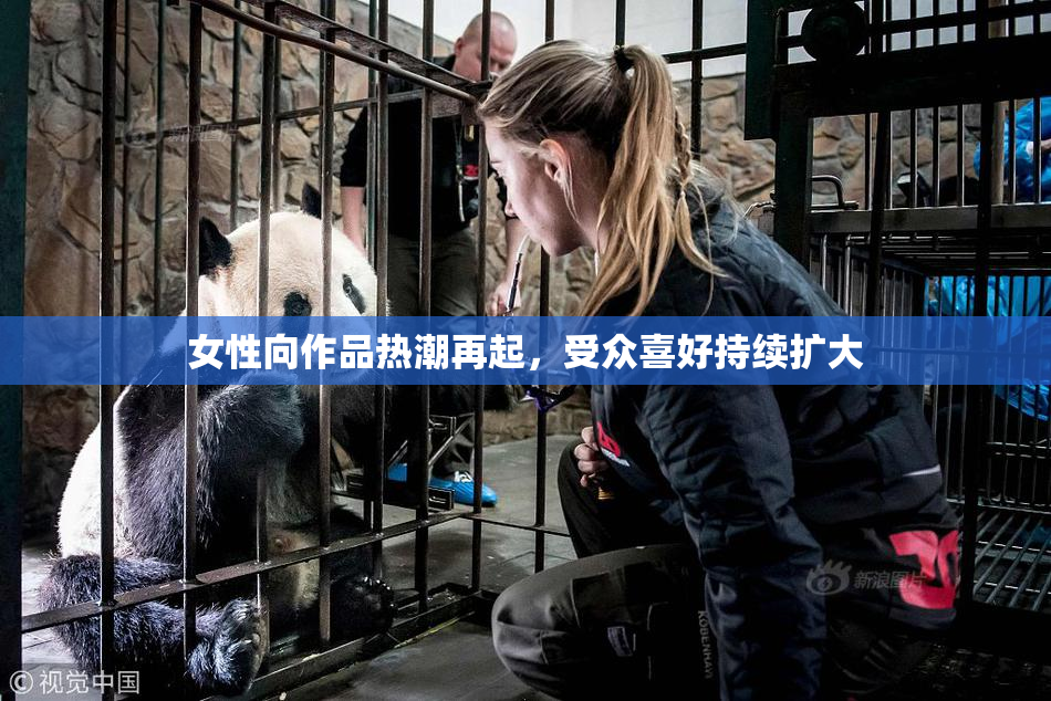 女性向作品热潮再起，受众喜好持续扩大