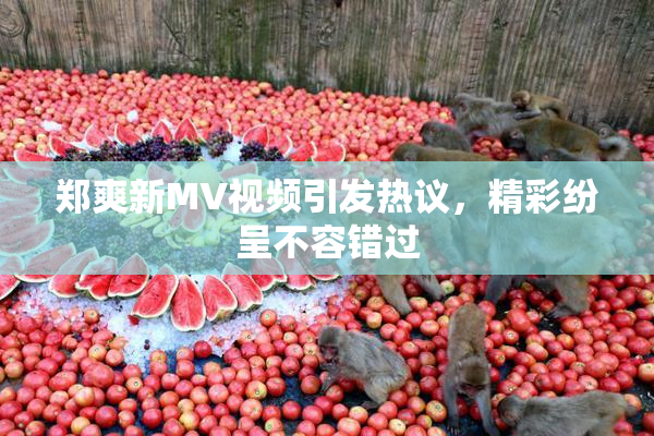 郑爽新MV视频引发热议，精彩纷呈不容错过