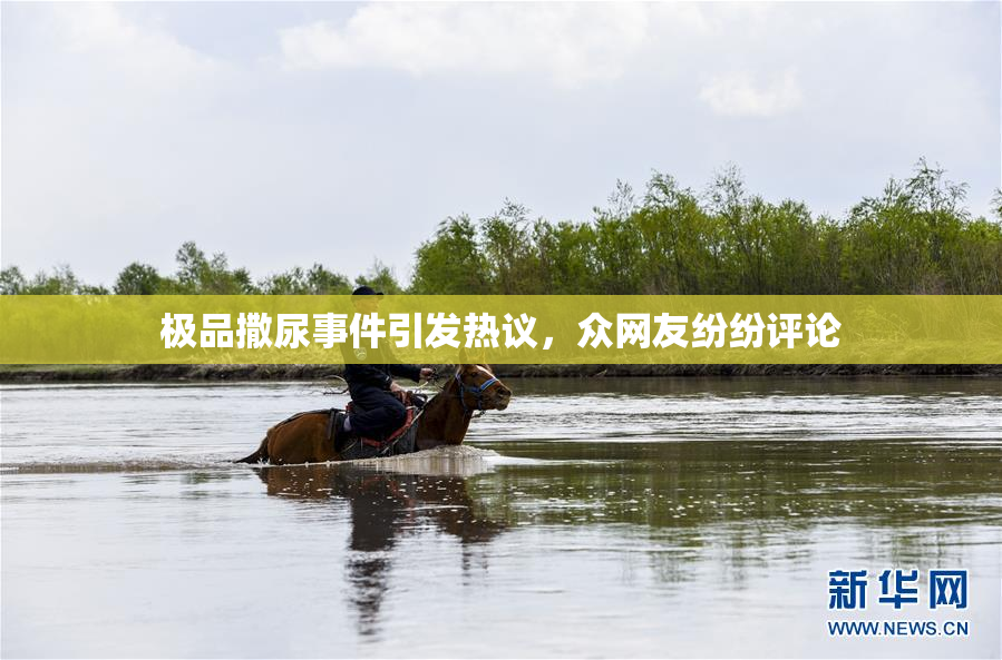 极品撒尿事件引发热议，众网友纷纷评论