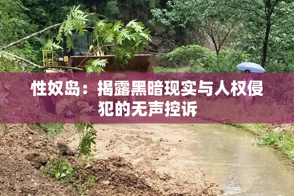 性奴岛：揭露黑暗现实与人权侵犯的无声控诉