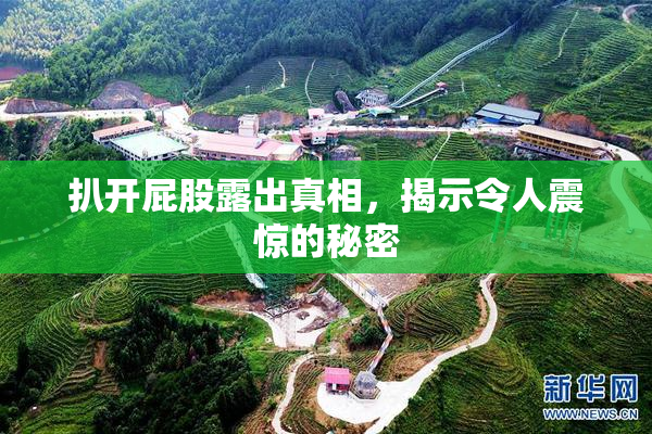 扒开屁股露出真相，揭示令人震惊的秘密