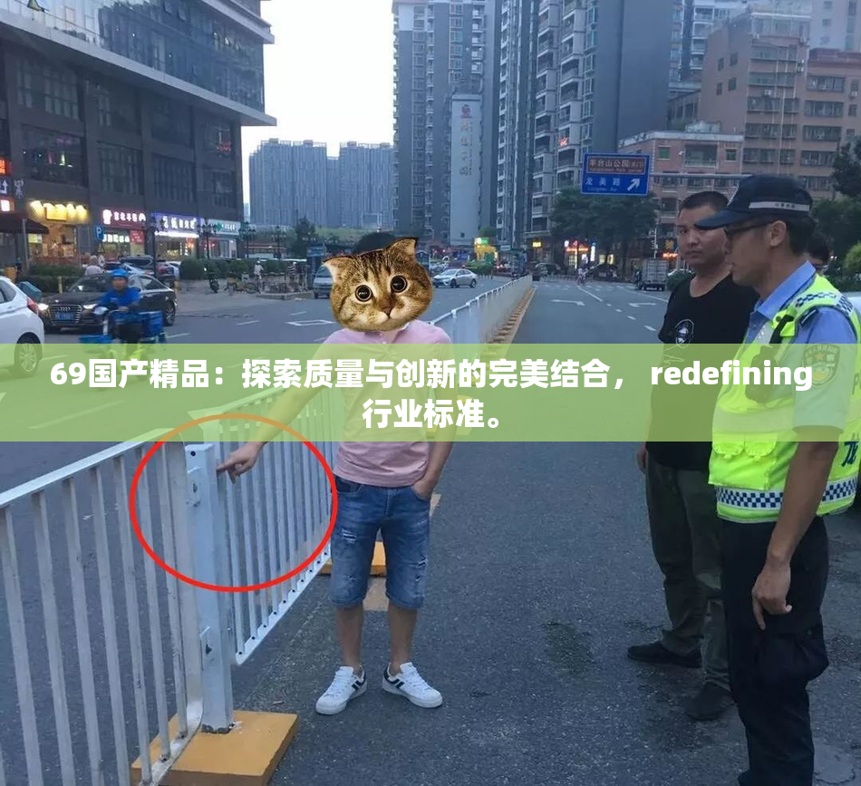 69国产精品：探索质量与创新的完美结合， redefining行业标准。