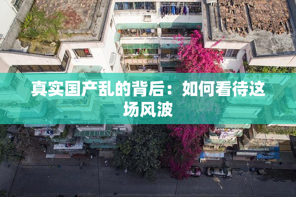 真实国产乱的背后：如何看待这场风波