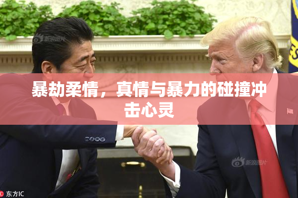 暴劫柔情，真情与暴力的碰撞冲击心灵