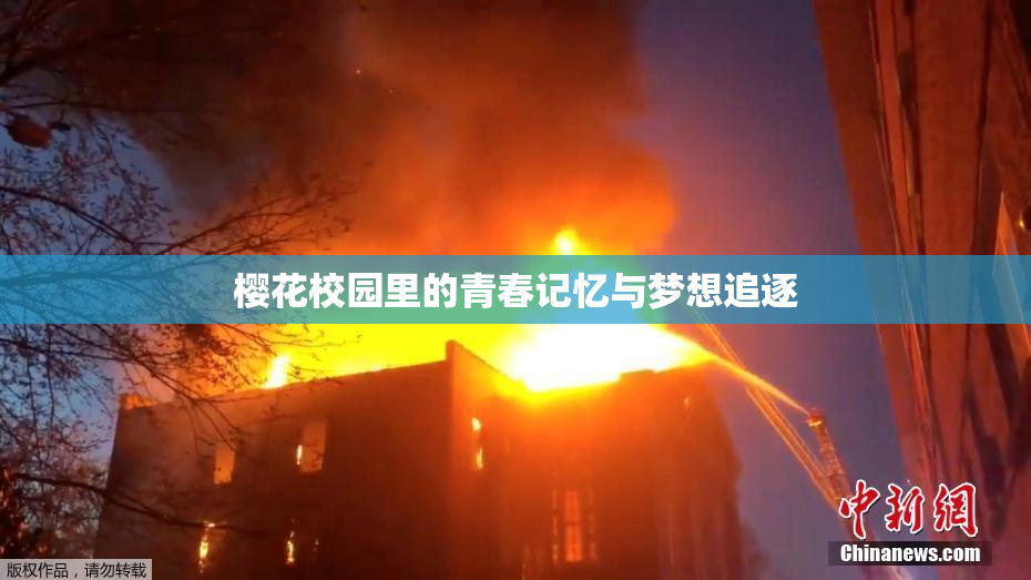 樱花校园里的青春记忆与梦想追逐