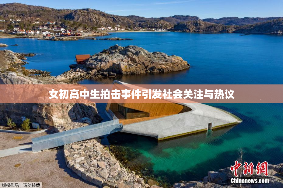 女初高中生拍击事件引发社会关注与热议