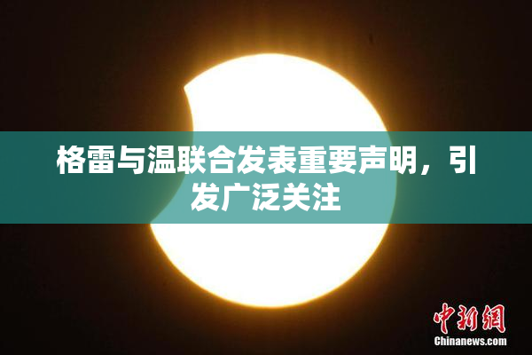 格雷与温联合发表重要声明，引发广泛关注