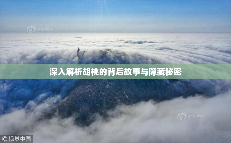 深入解析胡桃的背后故事与隐藏秘密