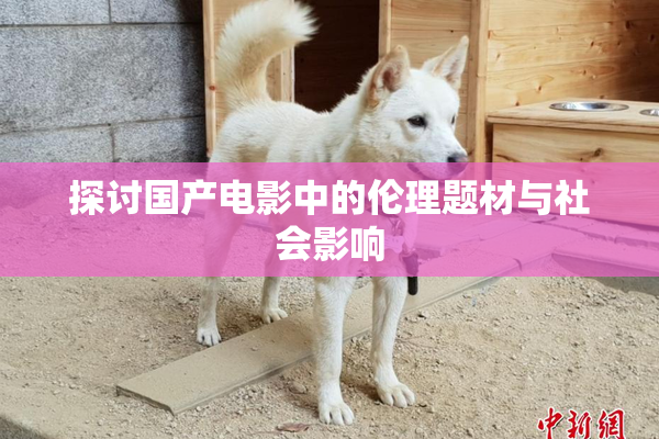 探讨国产电影中的伦理题材与社会影响