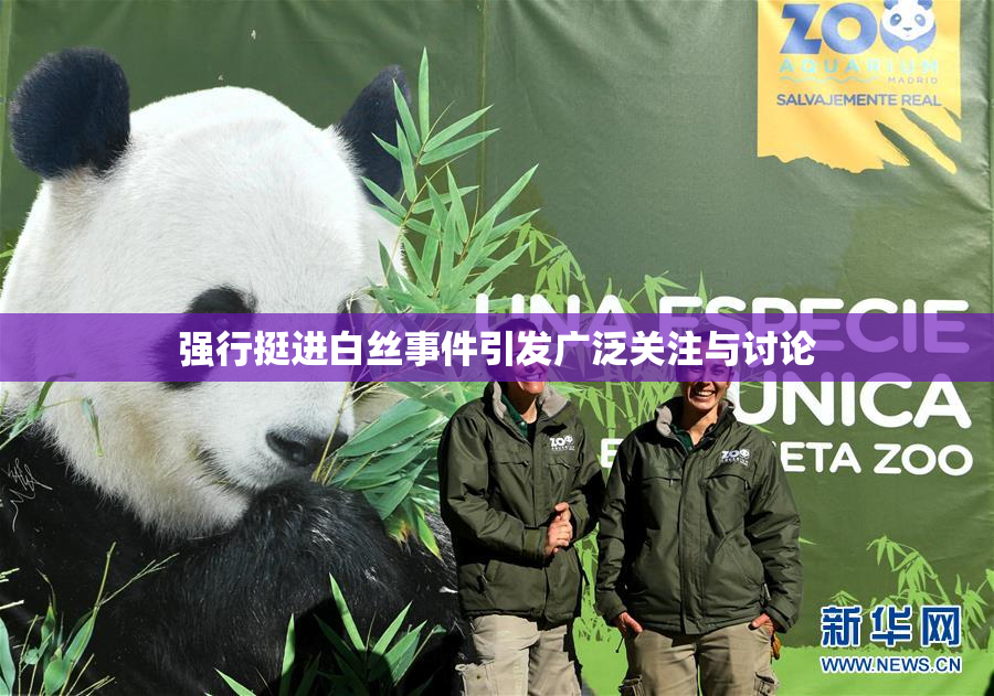 强行挺进白丝事件引发广泛关注与讨论