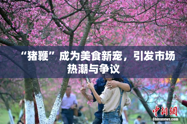 “猪鞭”成为美食新宠，引发市场热潮与争议