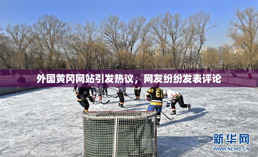 外国黄冈网站引发热议，网友纷纷发表评论