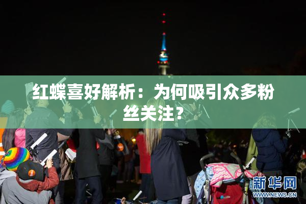 红蝶喜好解析：为何吸引众多粉丝关注？